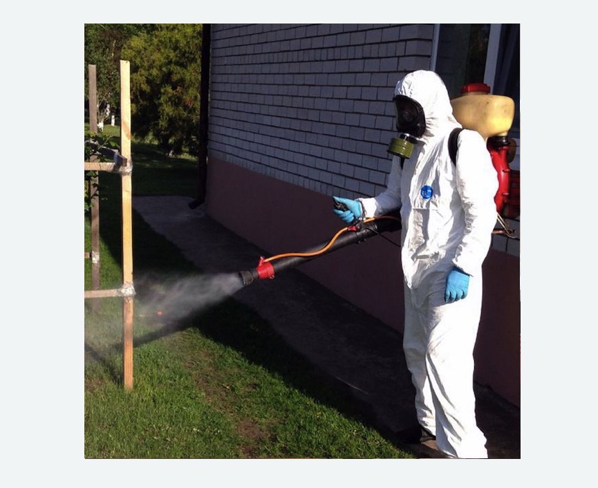 травля клещей на участке в Дивногорске