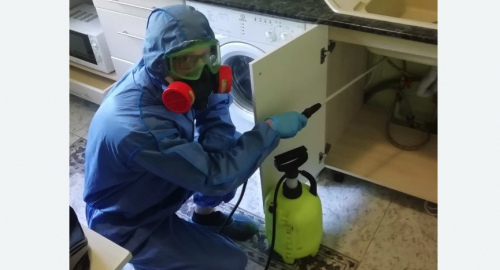 Уничтожение муравьев в квартире. Дивногорск