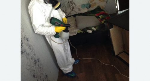 Обработка квартир от насекомых в Дивногорске