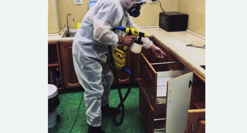 Дезинсекция квартиры. Дивногорск