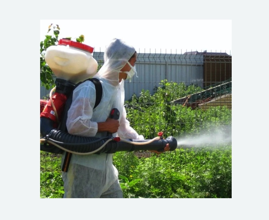 Акарицидная обработка территории в Дивногорске