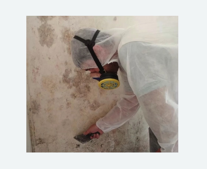 Обработка стен от плесени в Дивногорске