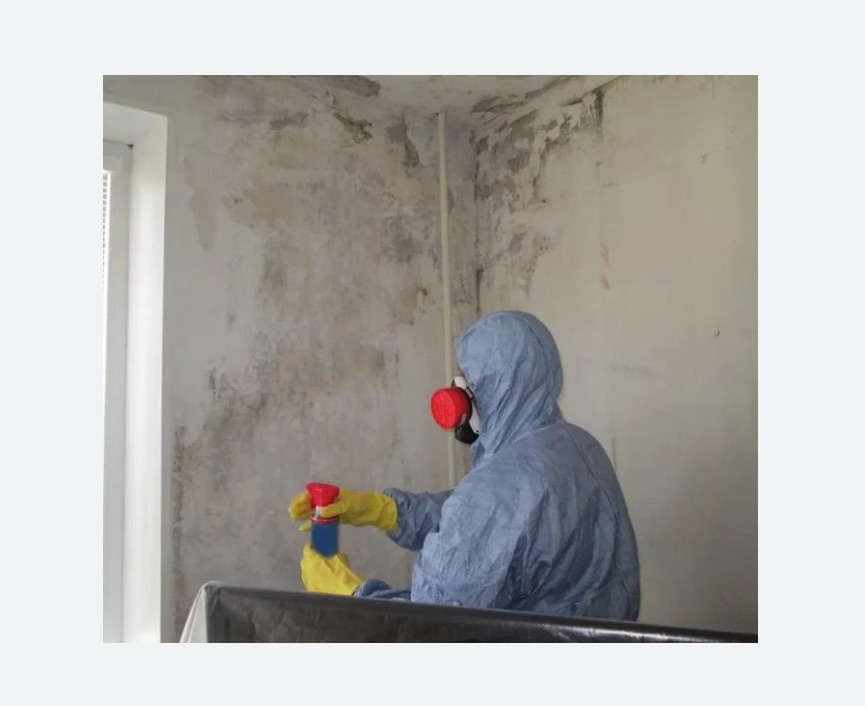 Удаление плесени в квартире в Дивногорске