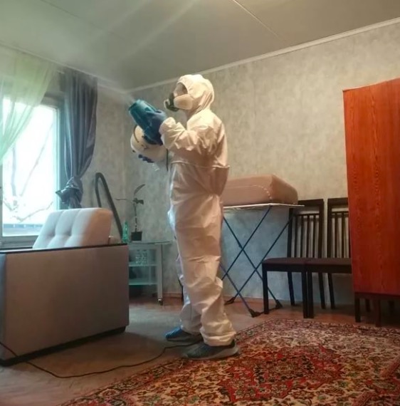 дезинсекция квартиры в Дивногорске