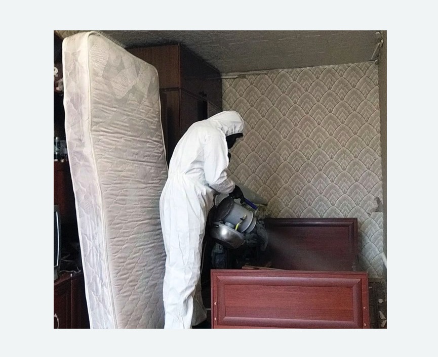 дезинфекция от клопов в Дивногорске