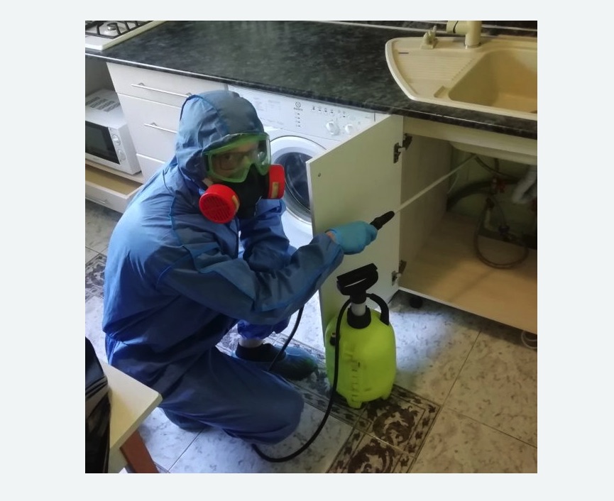 обработка от муравьев в квартире в Дивногорске