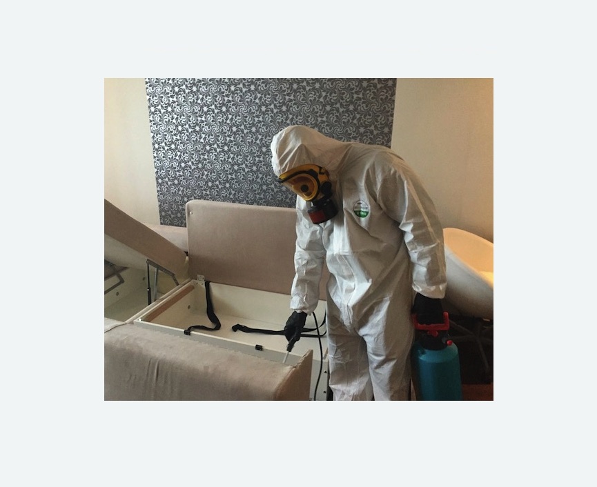 уничтожение клопов в квартире в Дивногорске