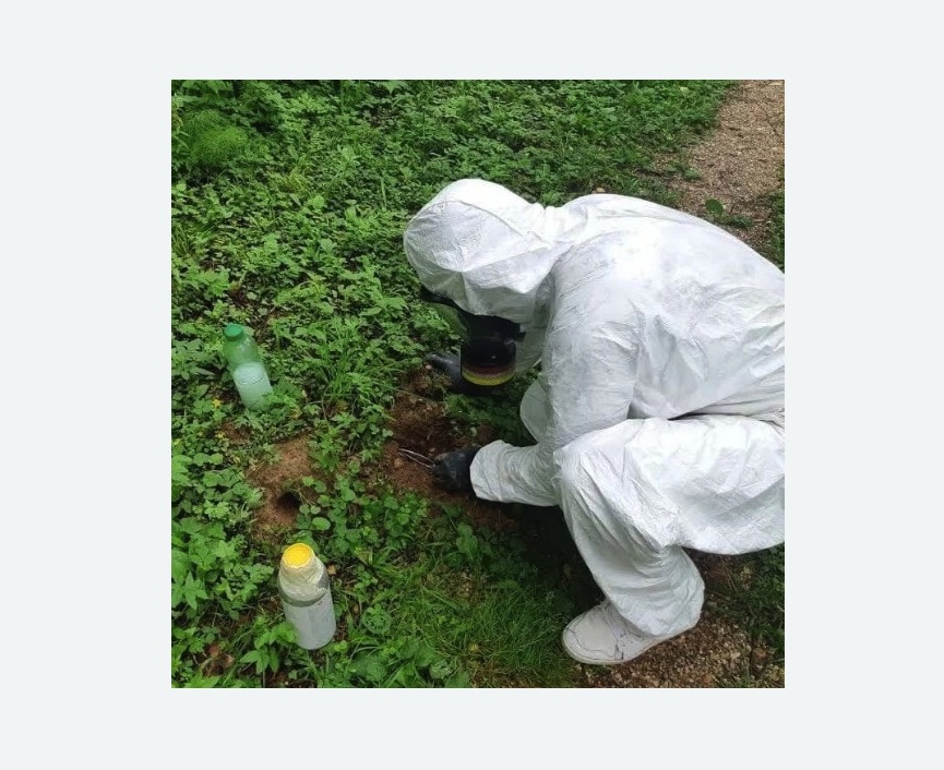 уничтожение кротов на участке в Дивногорске