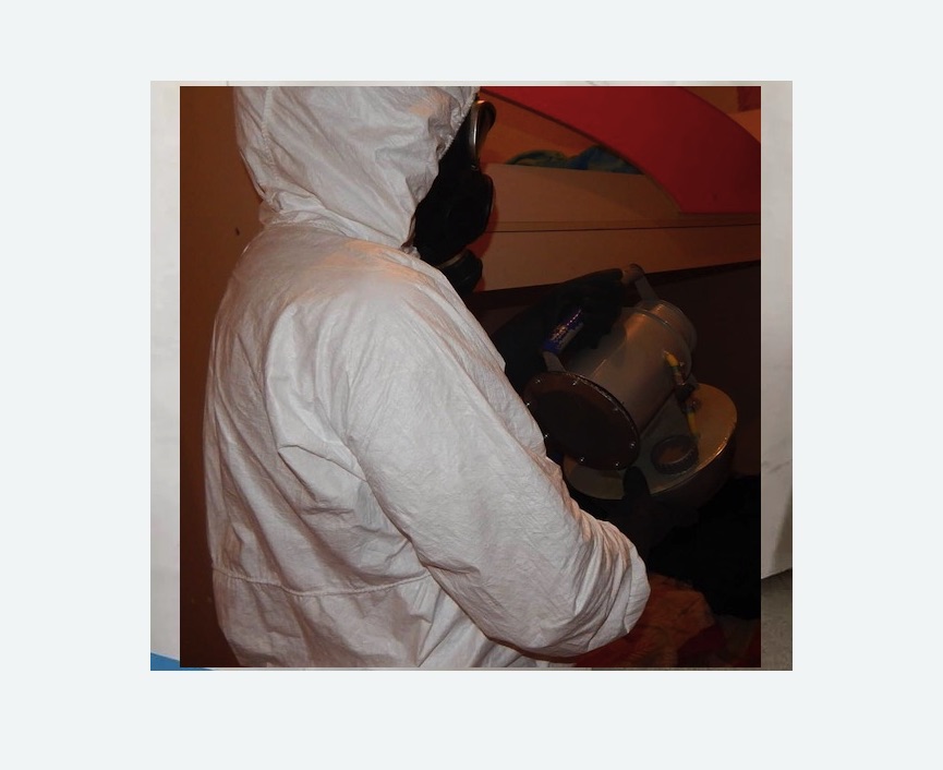 Дезинфекция от муравьев в Дивногорске