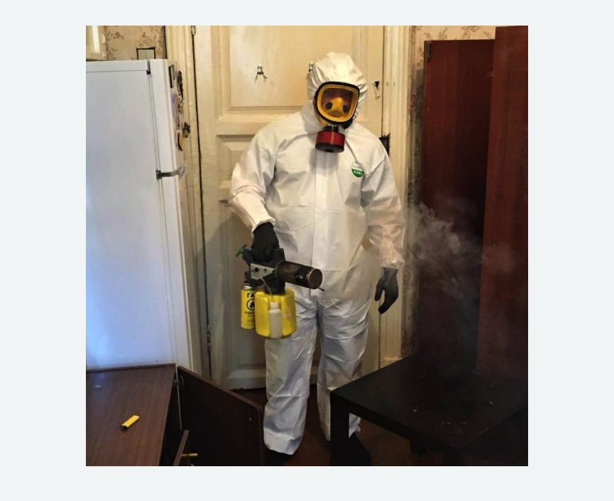 уничтожение муравьев в квартире в Дивногорске